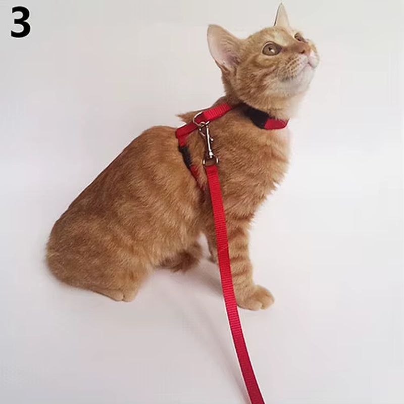 Adjustable Nylon Cat Puppy Pet Harness Collar Lead Leash Traction Safety Rope