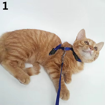 Adjustable Nylon Cat Puppy Pet Harness Collar Lead Leash Traction Safety Rope