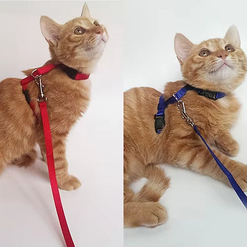 Adjustable Nylon Cat Puppy Pet Harness Collar Lead Leash Traction Safety Rope